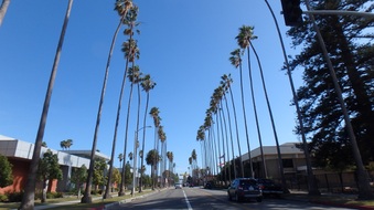 Enlarge photo 37