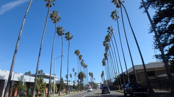 Enlarge photo 38