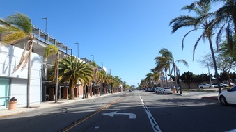 Enlarge photo 42