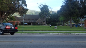 Enlarge photo 42