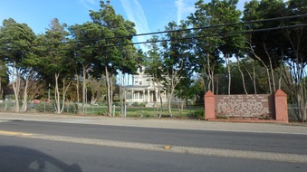 Enlarge photo 3