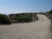 Enlarge photo 33
