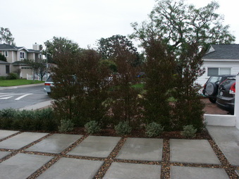 Enlarge photo 27