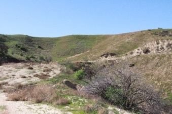 Enlarge photo 2