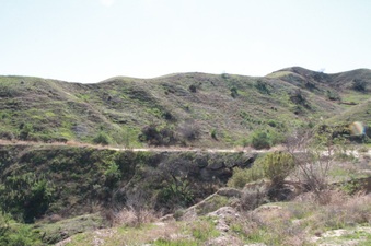 Enlarge photo 6