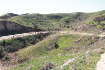 Enlarge photo 10