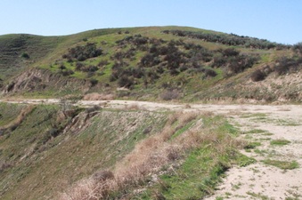 Enlarge photo 13