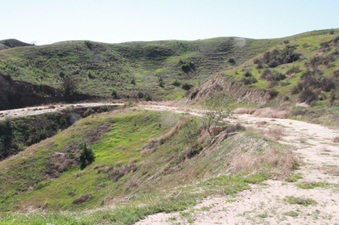 Enlarge photo 15