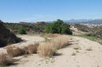 Enlarge photo 16