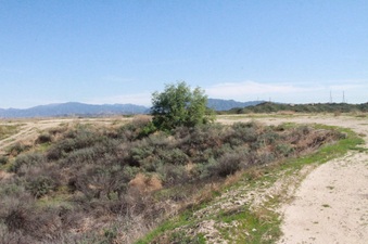 Enlarge photo 18