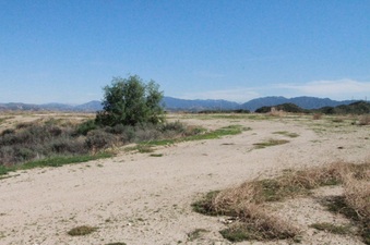 Enlarge photo 19