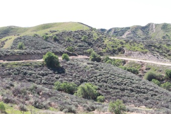 Enlarge photo 24