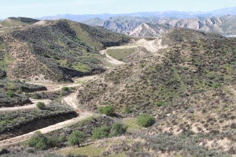 Enlarge photo 25