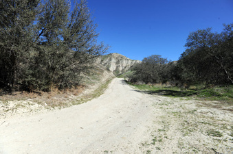 Enlarge photo 2