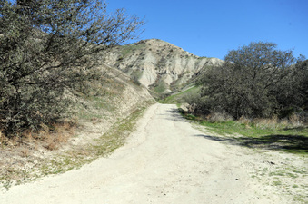 Enlarge photo 3