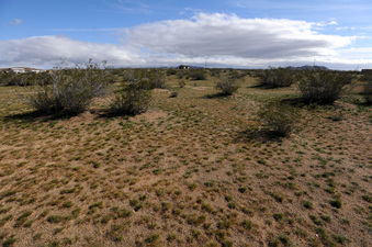 Enlarge photo 19