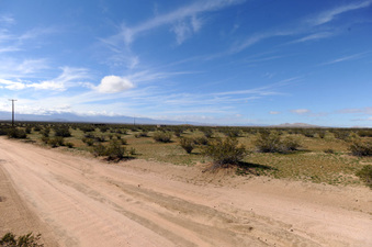Enlarge photo 23