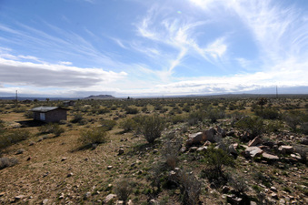 Enlarge photo 35