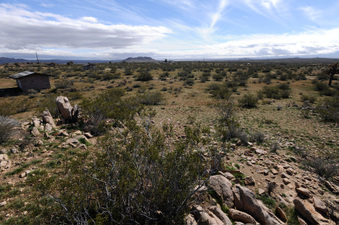 Enlarge photo 37
