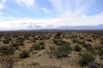 Enlarge photo 38