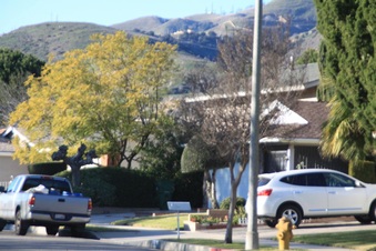 Enlarge photo 24