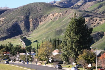 Enlarge photo 13