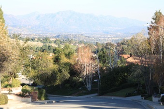 Enlarge photo 22