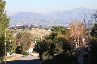 Enlarge photo 23