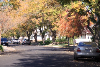 Enlarge photo 1