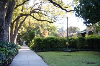 Enlarge photo 12