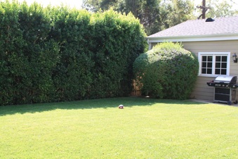 Enlarge photo 19