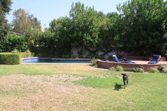 Enlarge photo 11