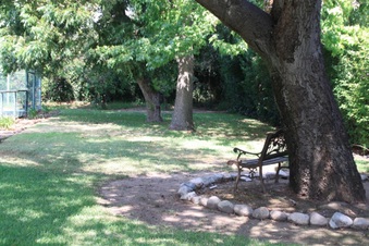 Enlarge photo 15