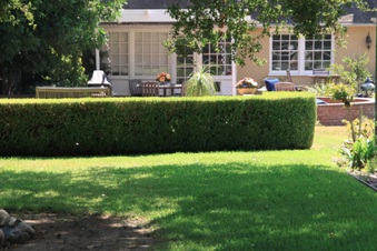Enlarge photo 18