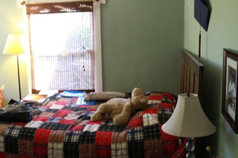 Enlarge photo 24