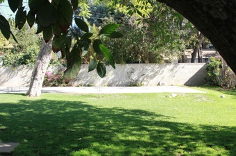Enlarge photo 5