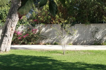 Enlarge photo 6