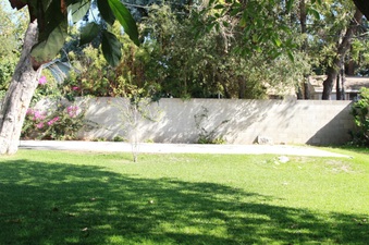 Enlarge photo 7