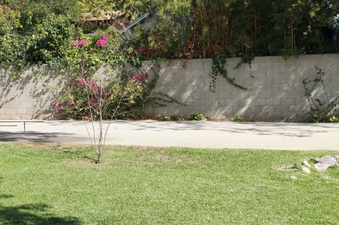 Enlarge photo 26