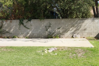 Enlarge photo 27