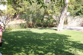 Enlarge photo 32