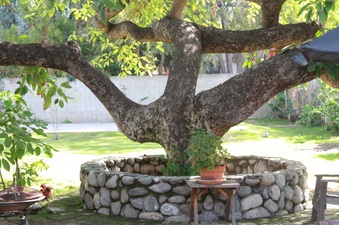 Enlarge photo 20
