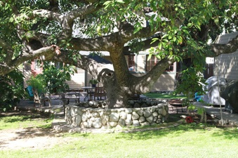 Enlarge photo 24