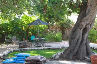 Enlarge photo 30