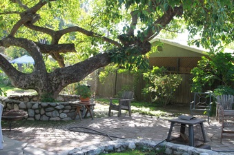 Enlarge photo 31