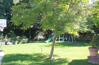 Enlarge photo 4