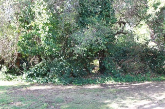 Enlarge photo 26