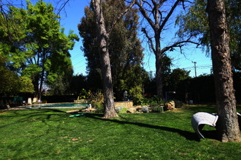 Enlarge photo 4