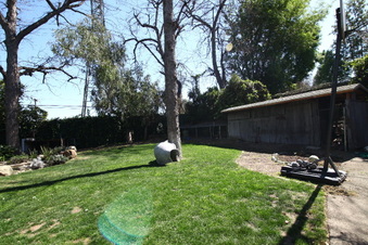 Enlarge photo 5
