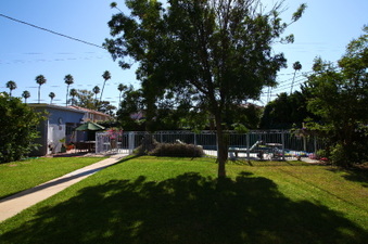Enlarge photo 24